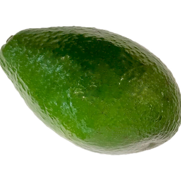 Авокадо 1шт