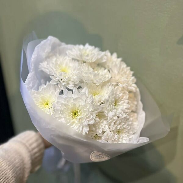 3 кустовых белоснежных хризантемы в стильной упаковке