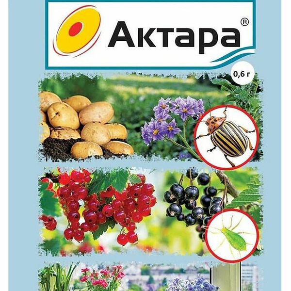 Инсектицид Ваше хозяйство Актара