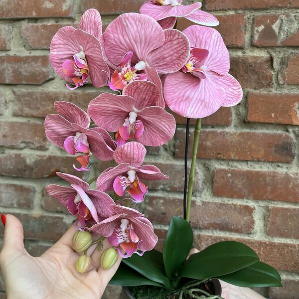 Искусственная орхидея Пинк