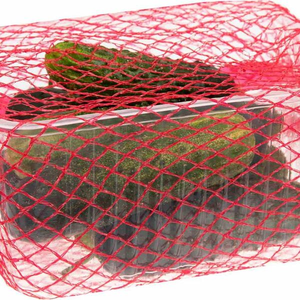 Огурец короткоплодный фермерский