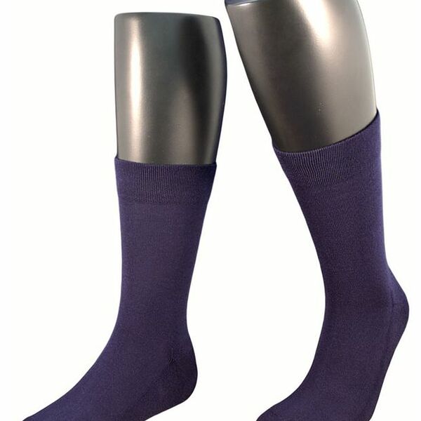 Носки мужские Гранд ZCL195 синий,Р.29-31