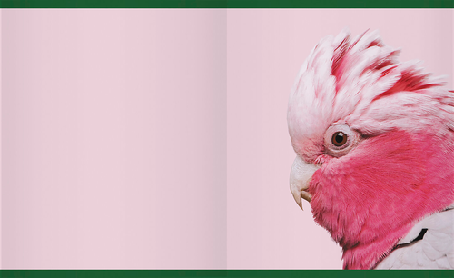 

Тетрадь LISTOFF А5, 48 листов, на скрепке, в клетку, Арт. ТК487835, в ассортименте