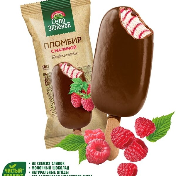 Мороженое Село Зеленое Пломбир с малиной в молочном шоколаде 15% 80г