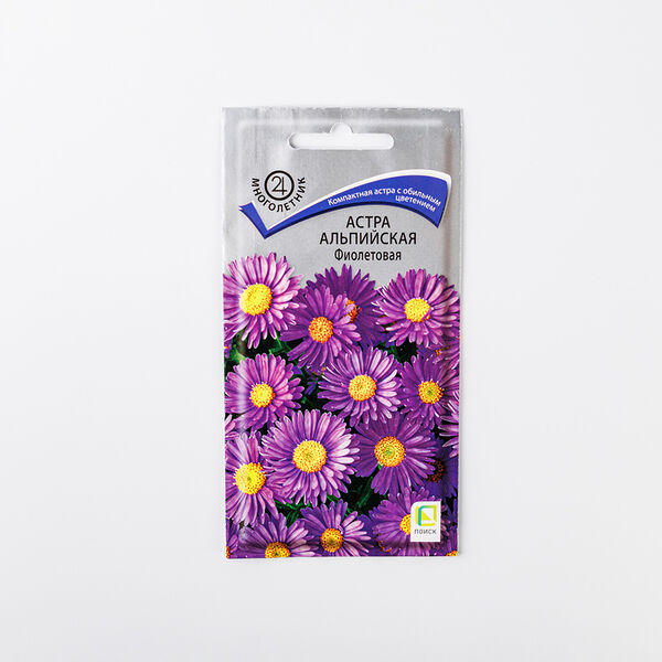Семена Астра альпийская Фиолетовая_СО 1 г