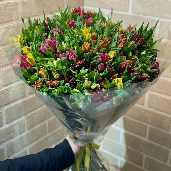 Альстромерия