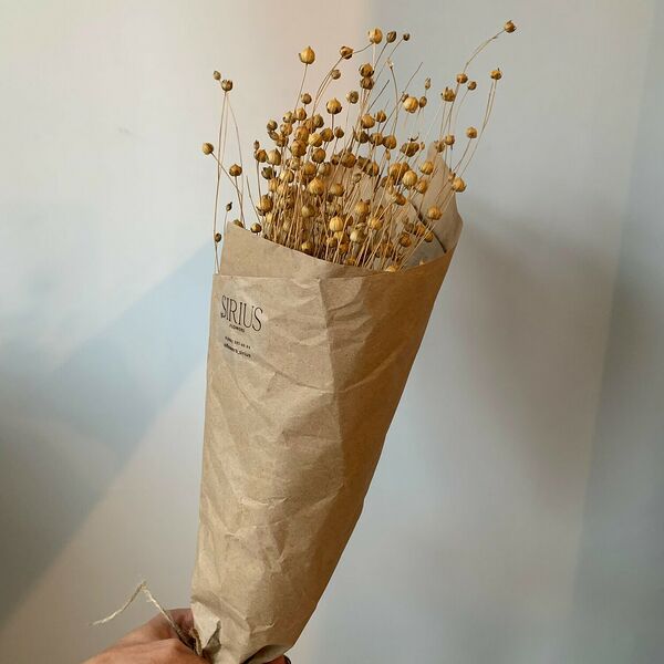 Букет сухоцветов Лён