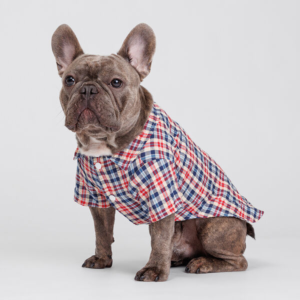 Petmax рубашка сине-красная в клеточку XL