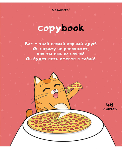 

Тетрадь Brauberg Кот-энтузиаст А5, 48 листов, 1 шт., дизайн в ассортименте