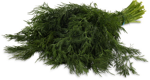 

Укроп свежий вес