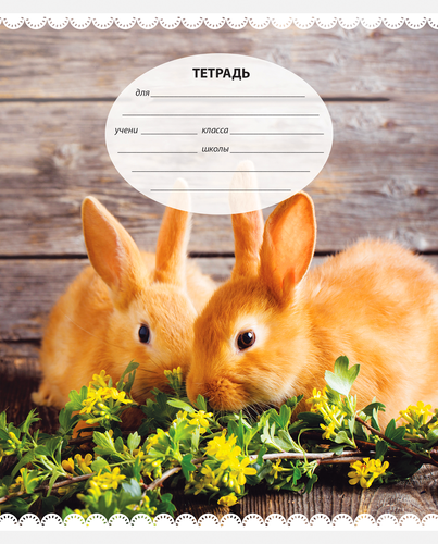 

Тетрадь ArtSpace Микс для девочек А5 12 листов в косую линейку1 шт дизайн в ассортименте