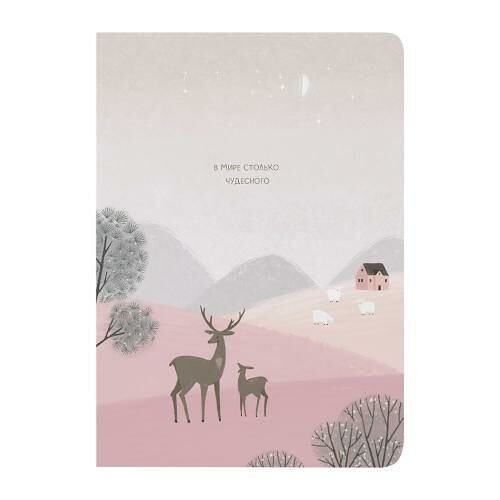 Тетрадь Пакетико Dream Fox А5 переплёт клетка 48л в ассортименте