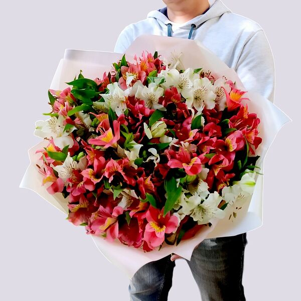 Букет из 25 альстромерий № 849