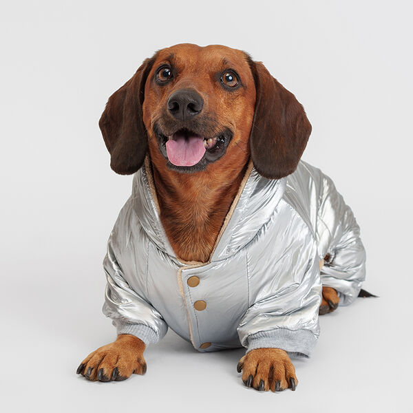 Комбинезон с капюшоном для собак, 2XL, серебряный (мальчик)
