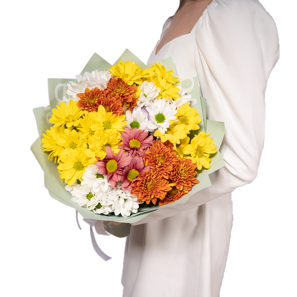 9 хризантем микс