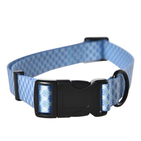 Ошейник для собак FOXIE Fish M 2,0х35-55см голубой