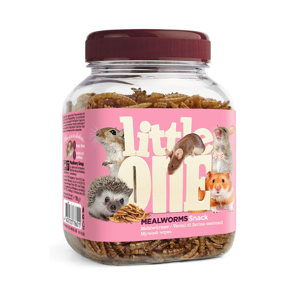 Мучной червь Little One лакомство для всеядных грызунов 70 г