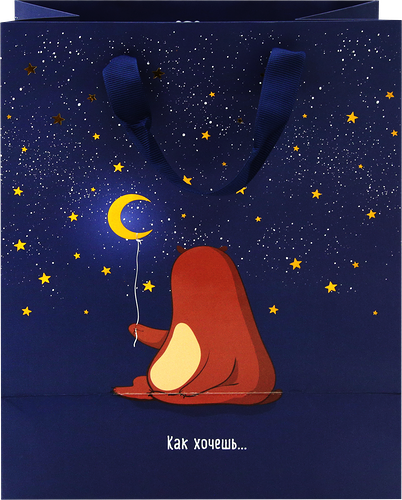 Пакет подарочный Meshu Я подарю тебе луну, 18х23х10см, отделка фольгой, выборочный лак