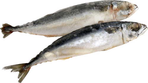 

Скумбрия замороженная Лента неразделанная, 800 г