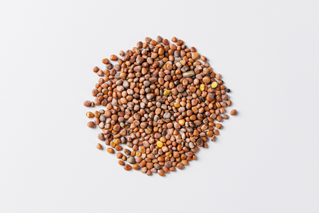 

Семена Микрозелень Поиск Редис микс 5 г