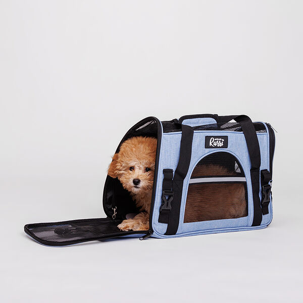 Сумка-переноска для кошек и собак мелкого размера, M, 40х20х26 см, голубая