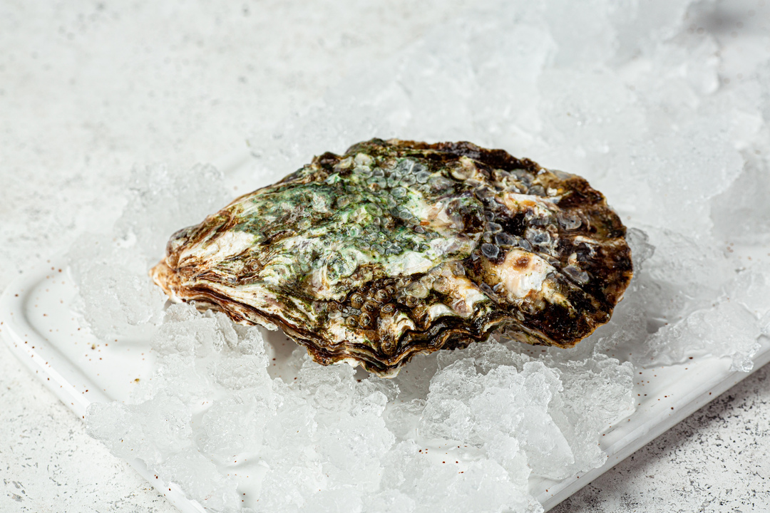 

Устрица ВкусВилл живая тихоокеанская 60 г 1 шт.