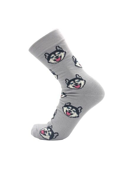 Носки мужские INWIN Хаски 1 пара серые р25,27,29
