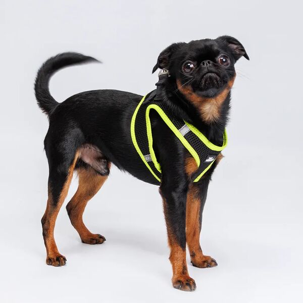 Шлейка-жилетка для собак Air, обхват груди 35-40 см, лента 15 мм, желтая