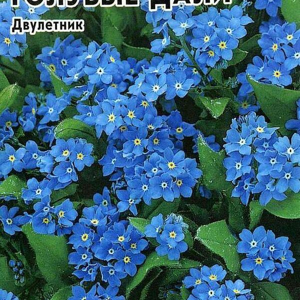Семена Незабудка Удачные семена Голубые дали