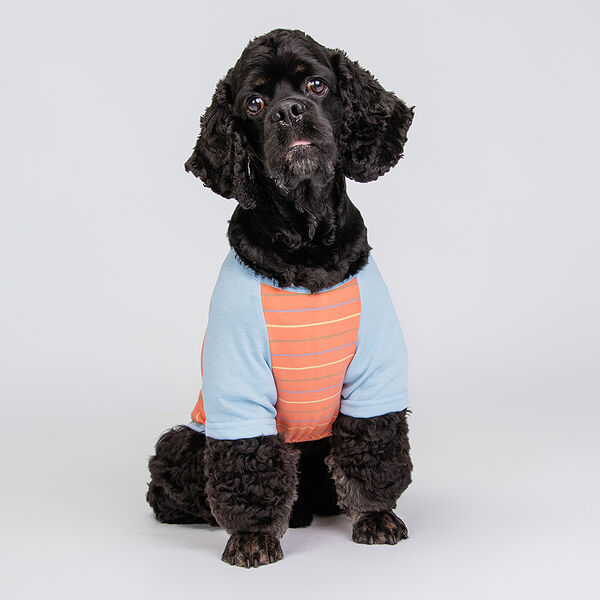 Petmax Футболка оранжевая в полоску 3XL