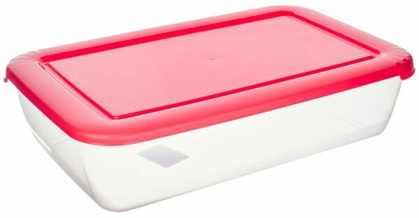 Контейнер для СВЧ Полимербыт Лайт, 29x19x7 см
