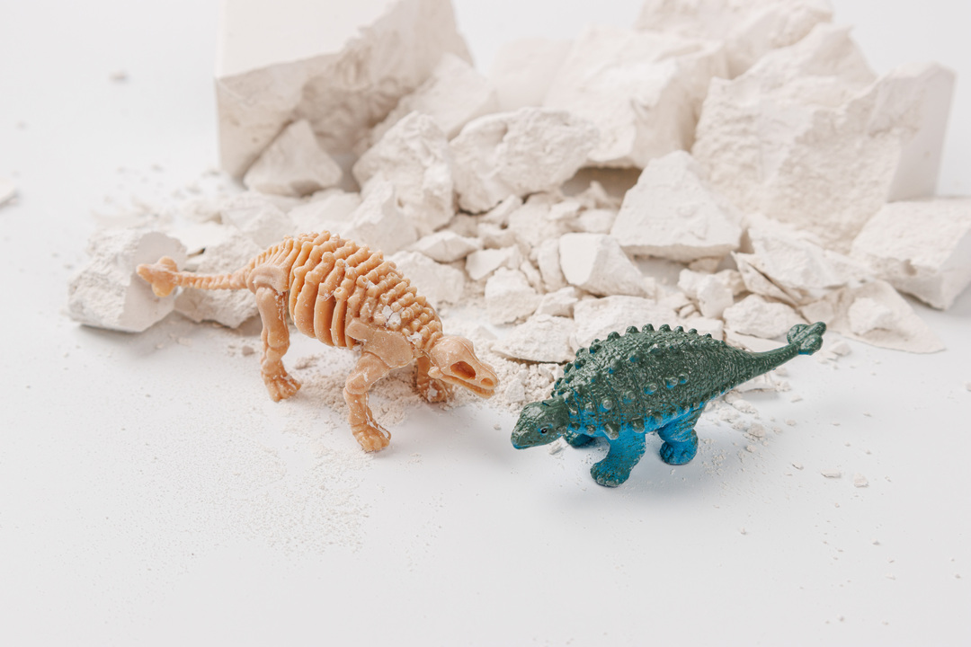 

Набор раскопок с игрушкой, в ассортименте