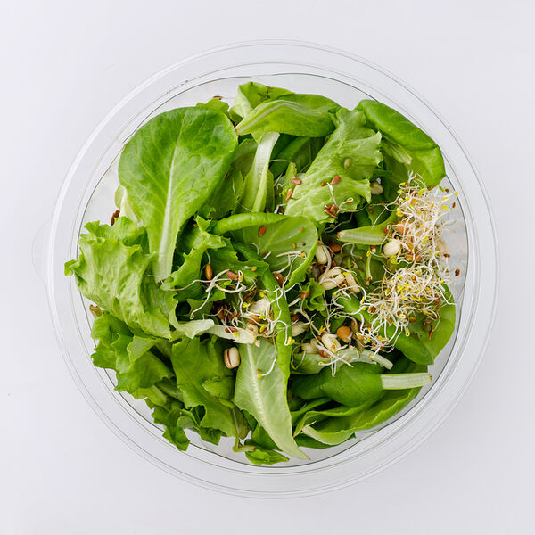 Аквасалат с проростками 