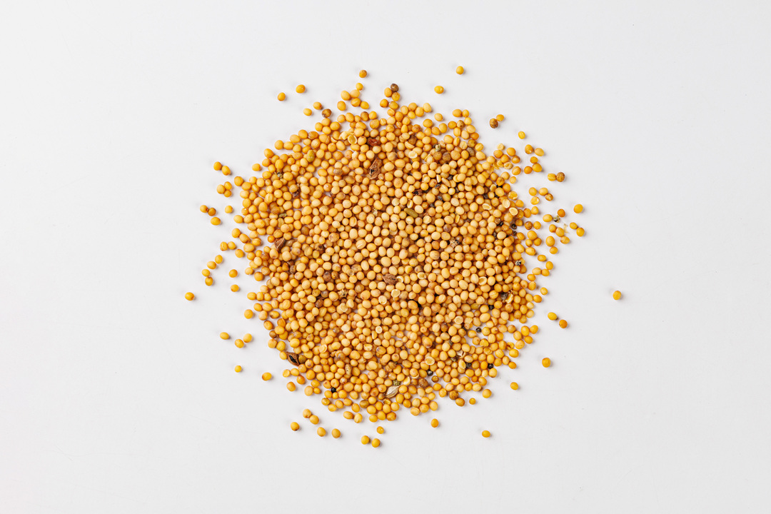 

Семена на микрозелень Горчица Сарептская микс Поиск 5 г