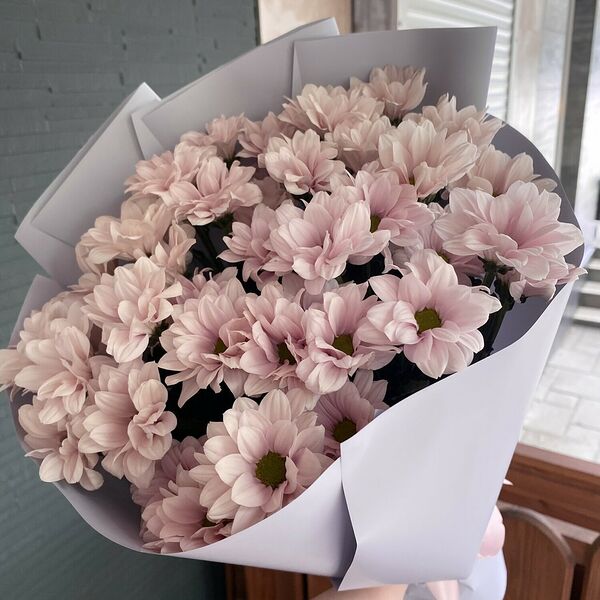 Хризантема ромашковая