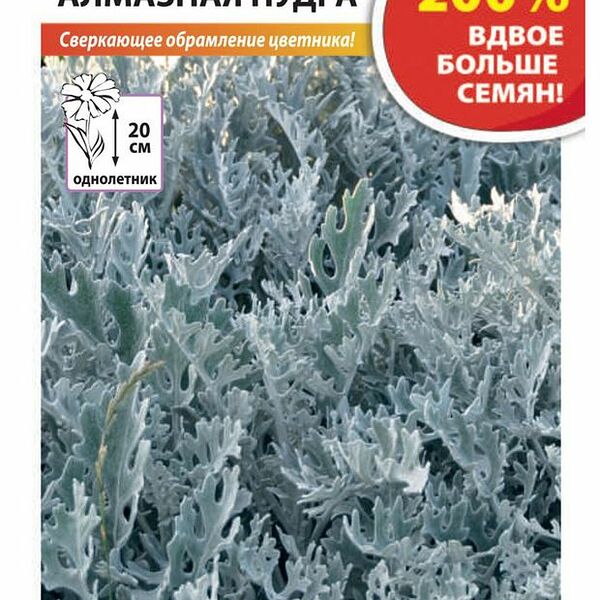Семена Русский огород 200% Цинерария Алмазная пудра