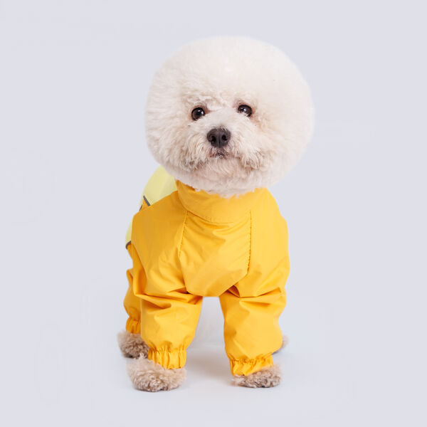 Дождевик для карликового пуделя, 36x61x34 см, лимон (мальчик)