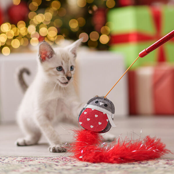 Игрушка для кошек дразнилка птичка с хвостом 25 см