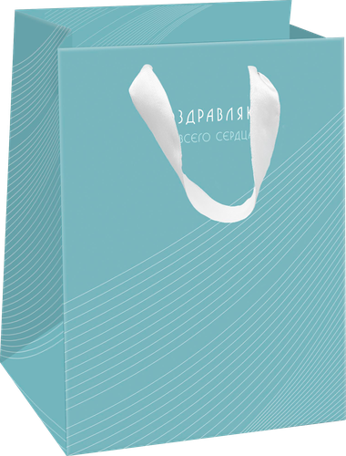 

Пакет подарочный Пакетико Arctic 14.6х11.4х6.4 см дизайн в ассортименте