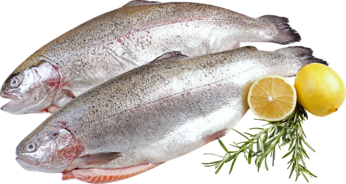 

Форель Радужная Лента FRESH потрошеная с головой весовая