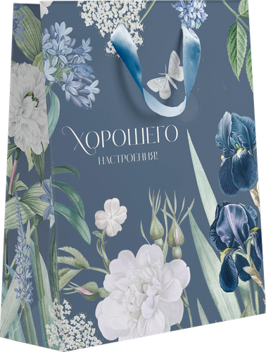 

Пакет подарочный Paketiko Blue bird 22.7х18х10 см, дизайн в ассортименте