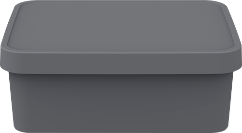 Ящик для хранения AMBIENT Folk 11л цвет в ассортименте