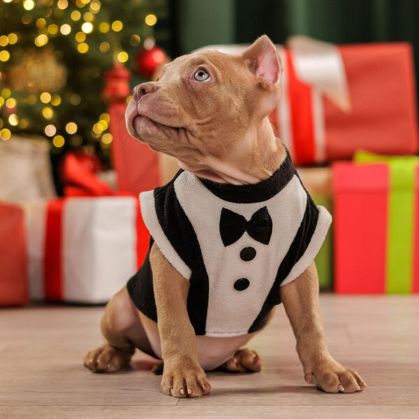 Фрак для собак XL черный, унисекс