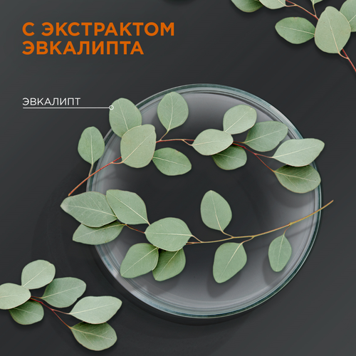 

Шампунь для волос Шаума Men 2 в 1 Энергия спорта 360 мл