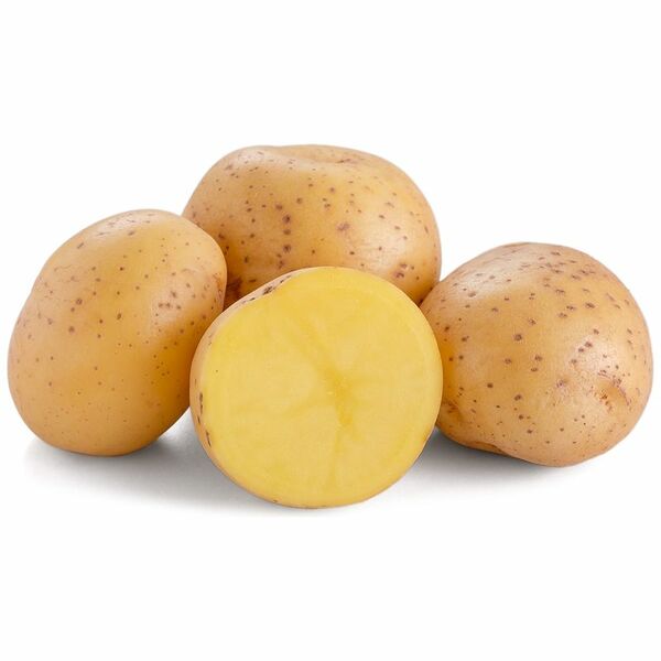 Картофель мытый отборный Маркет