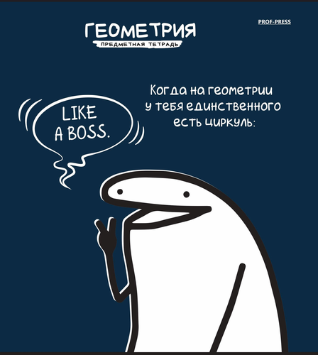 

Тетрадь Prof-Press Геометрия мемы, в клетку, 48 листов, Арт. Т48-5789