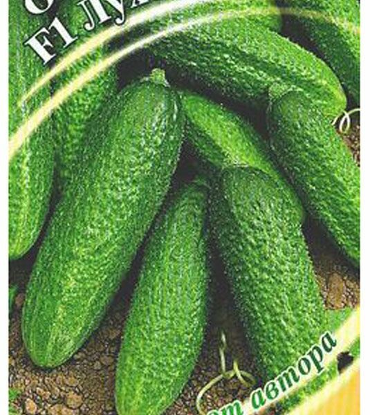 Огурец корнишон Луховицкий F1 Гавриш Семена от автора, 10 шт.