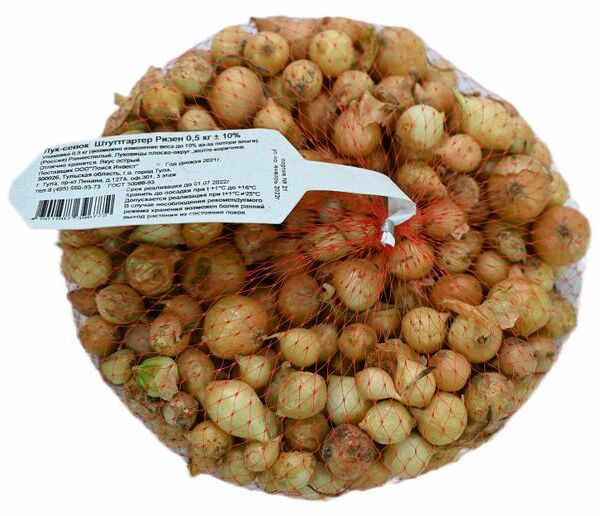 Лук-севок Поиск Штуттгартер Ризен 500 г