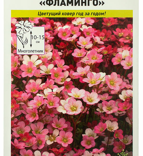 Семена Русский огород Камнеломка Фламинго смесь, 200 шт