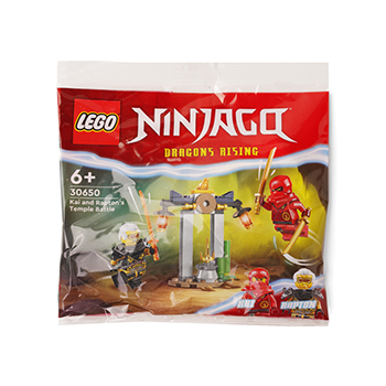 

Конструктор детский Lego Ninjago Битва Кая и Раптона в храме, 47 деталей, возраст 6+